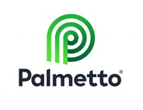 Palmetto Solar.jpg