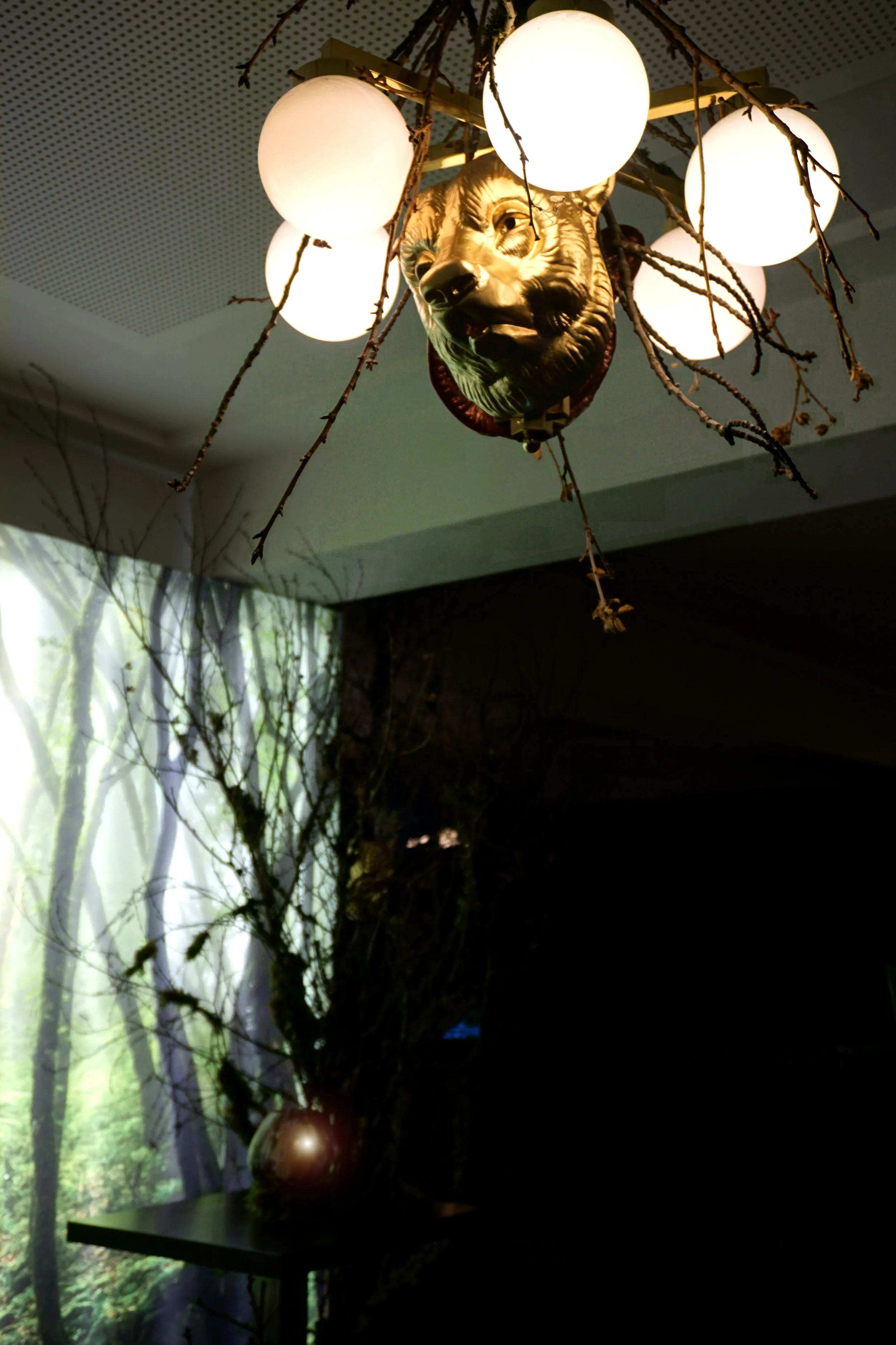   © Agnes Hasun  