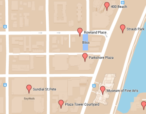 Project: Bliss Condominiums