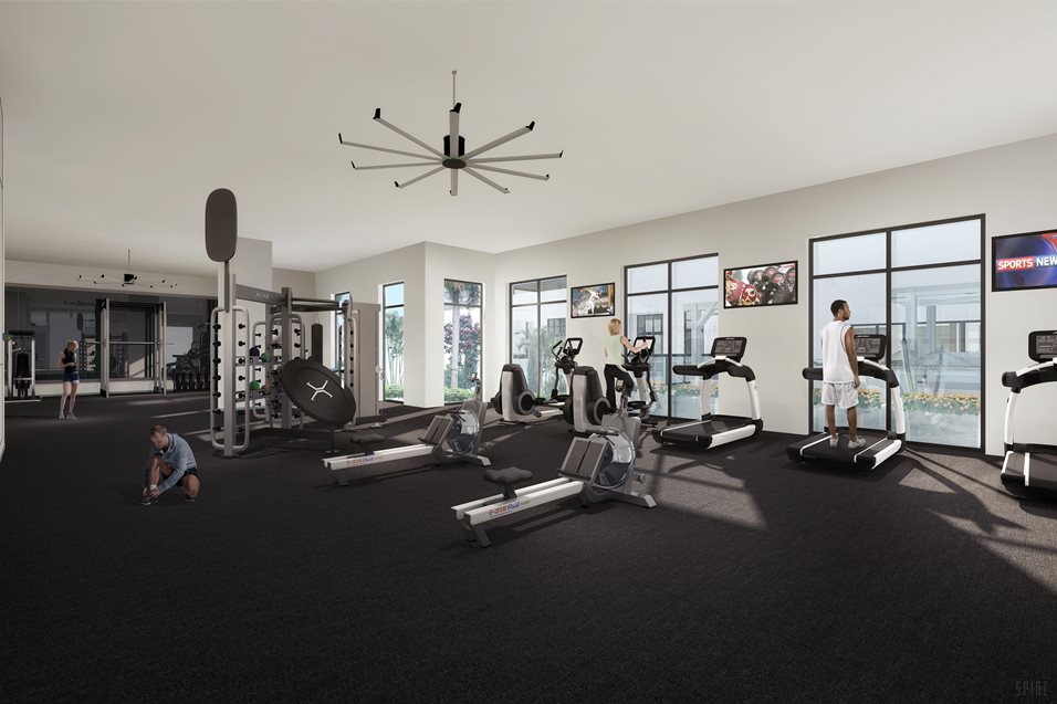 Avanti Apartments St. Pete Rising