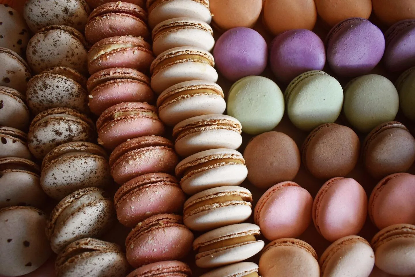 A sampling of the available macarons at Gracie Pasta and Provisions