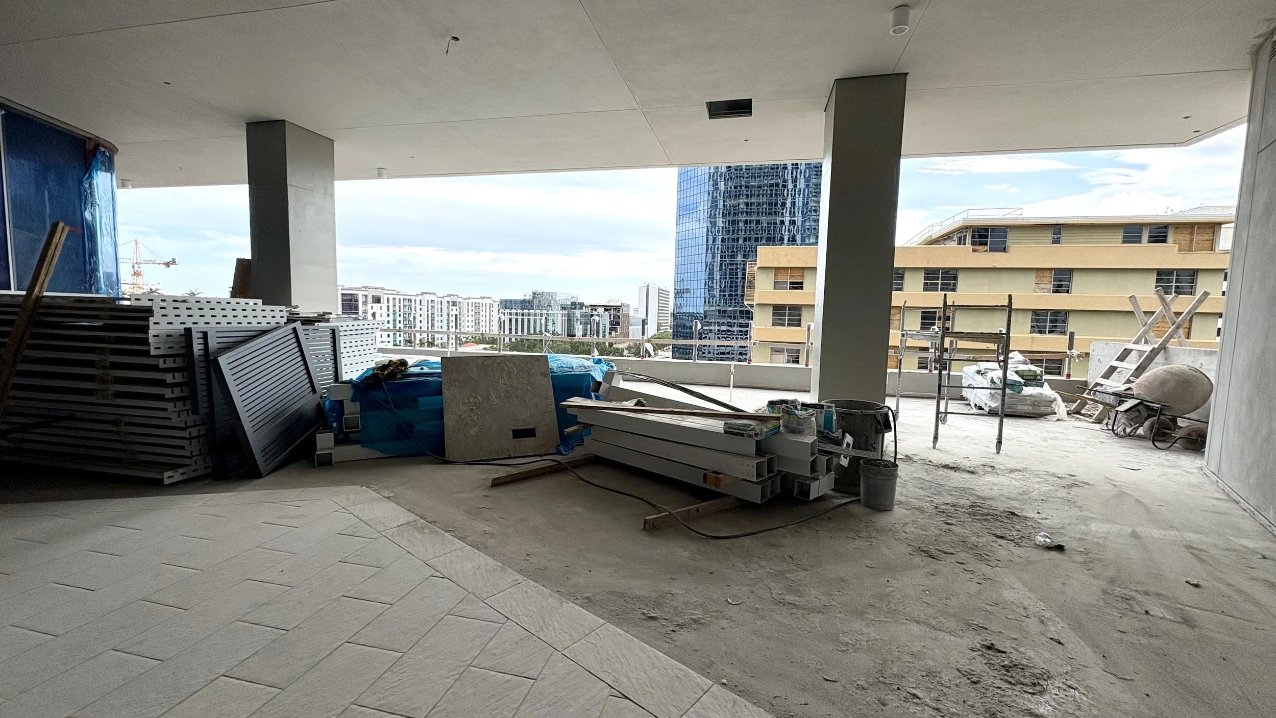 Dog Park on 9th Floor | St. Pete Rising