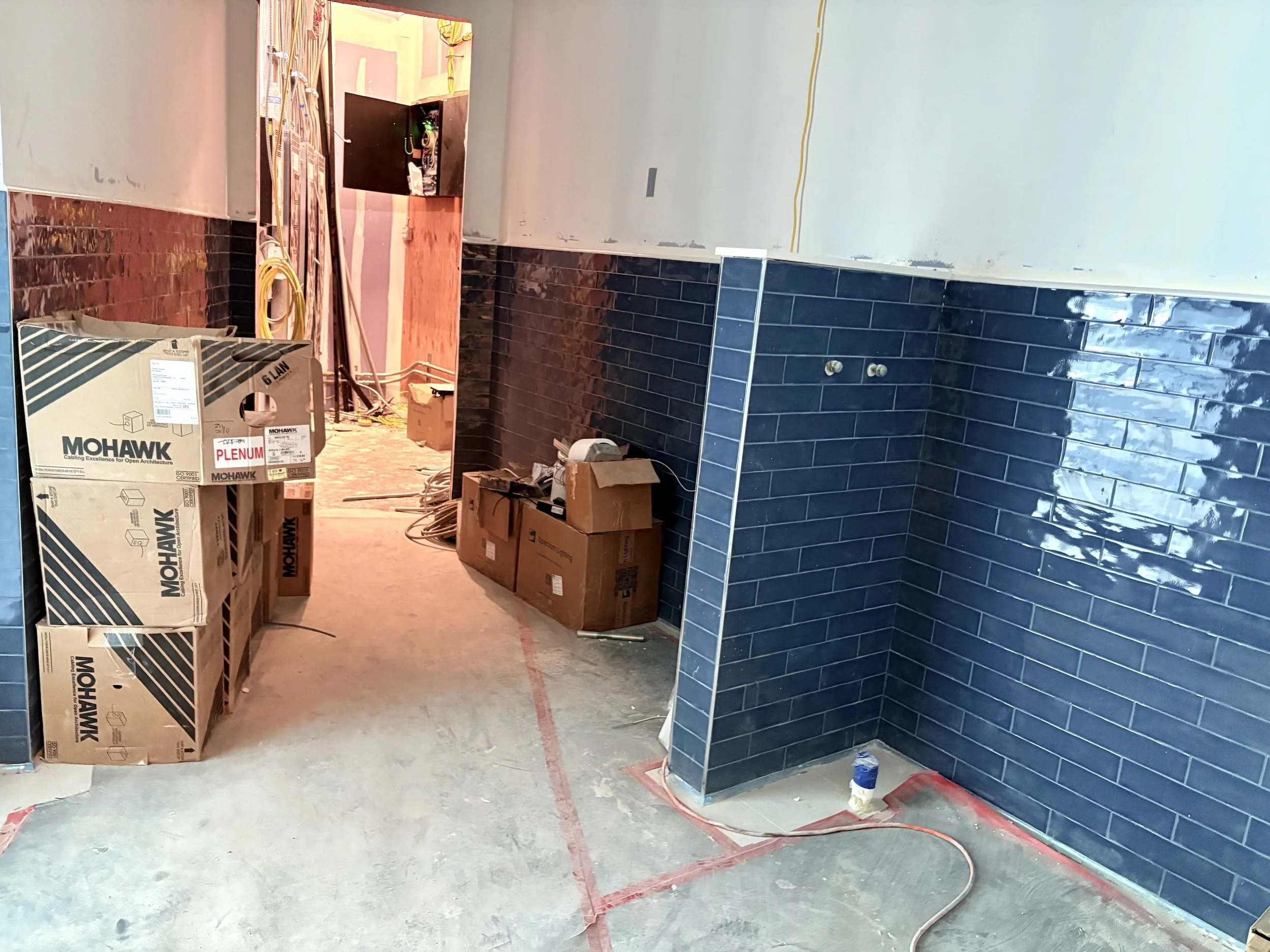 Dog Spa on 9th Floor | St. Pete Rising