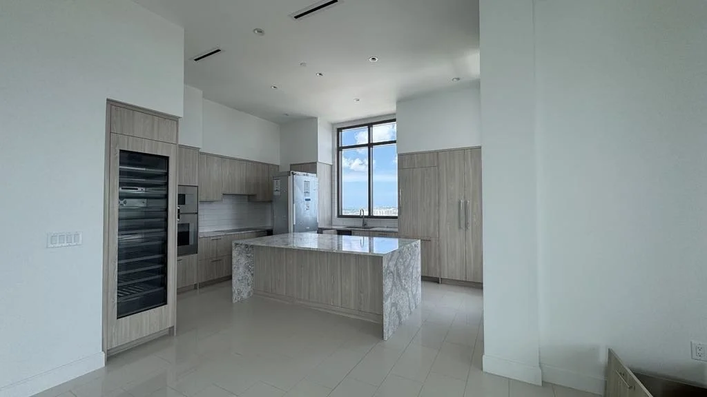 The Nolen Penthouse