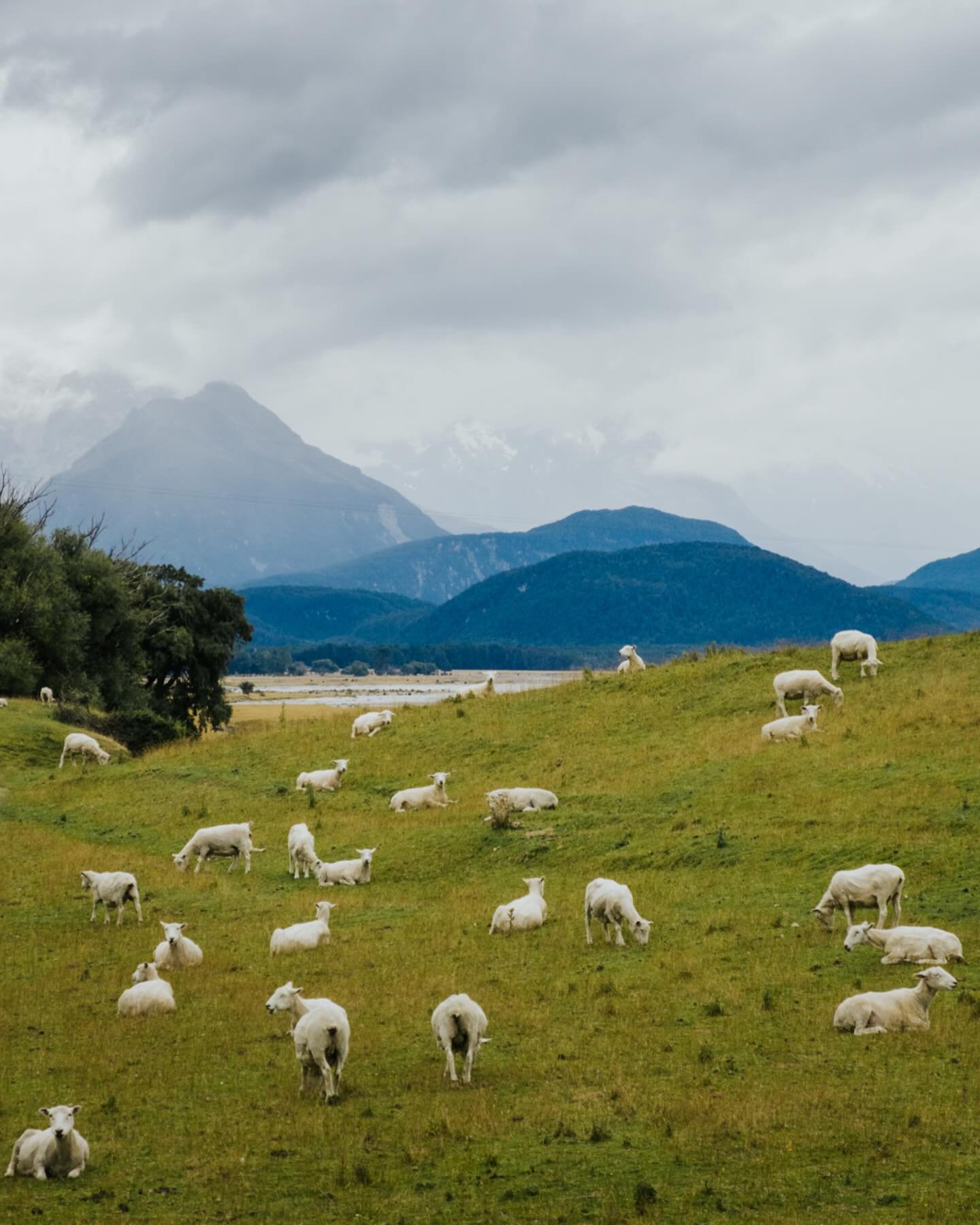 Sheep nap time with a view &ndash; and what a view! 🐑⛰️ 

Looking back, things seem to make much more sense: all the hardships, all the wrong turns, all the sadness, all the bad words and behaviors, all the bad experiences, all the tough lessons.. t