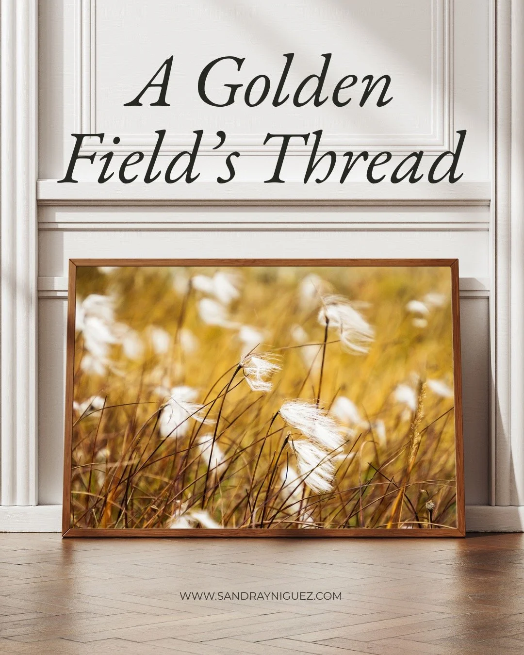 🌾 A Golden Field&rsquo;s Thread

🖼 Limited Edition Fine Art Prints available for purchase from September 10th of my most acclaimed photographs from Iceland.

A journey of sorts with mesmerizing visuals and heartfelt words that will take your soul t