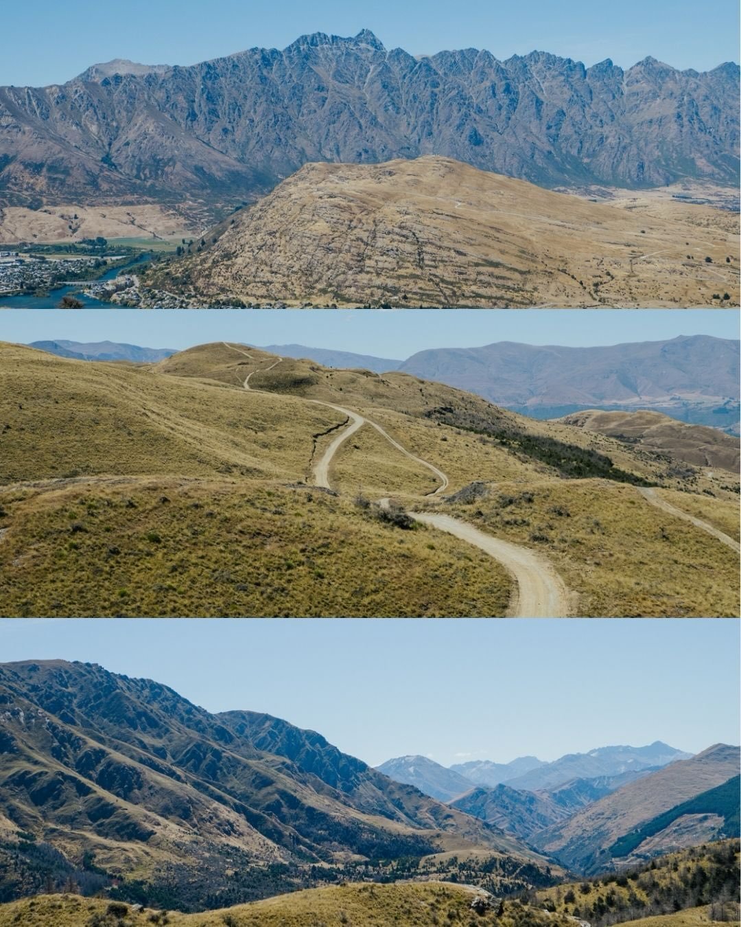 Ngā mihi nui Aotearoa | Whakatōhia te kākano 🌱

#aotearoa #aotearoanz @omsystem.generation #om5tellyourstory