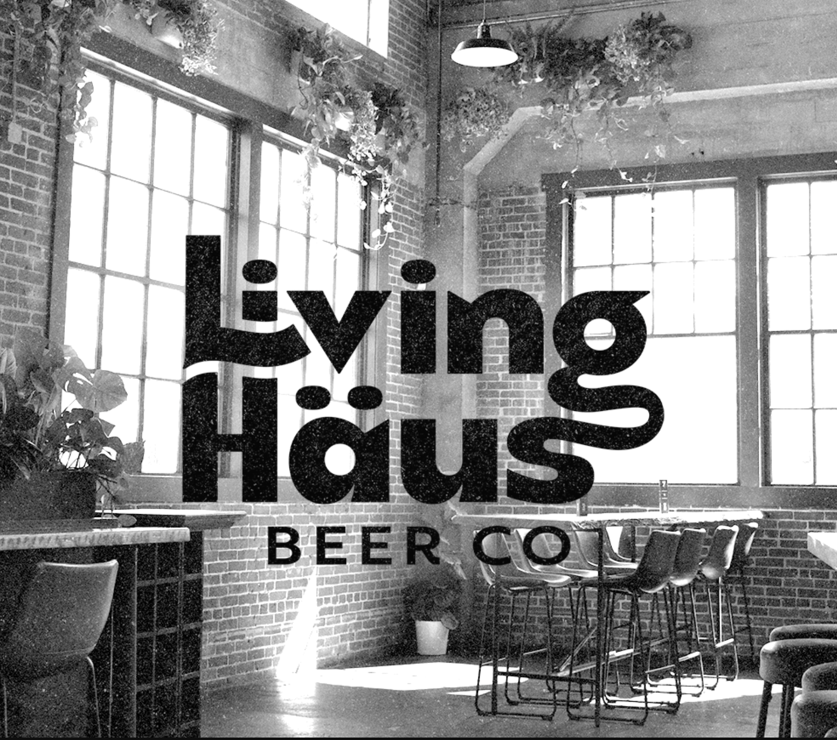  Living Häus Beer Co. Tasting 