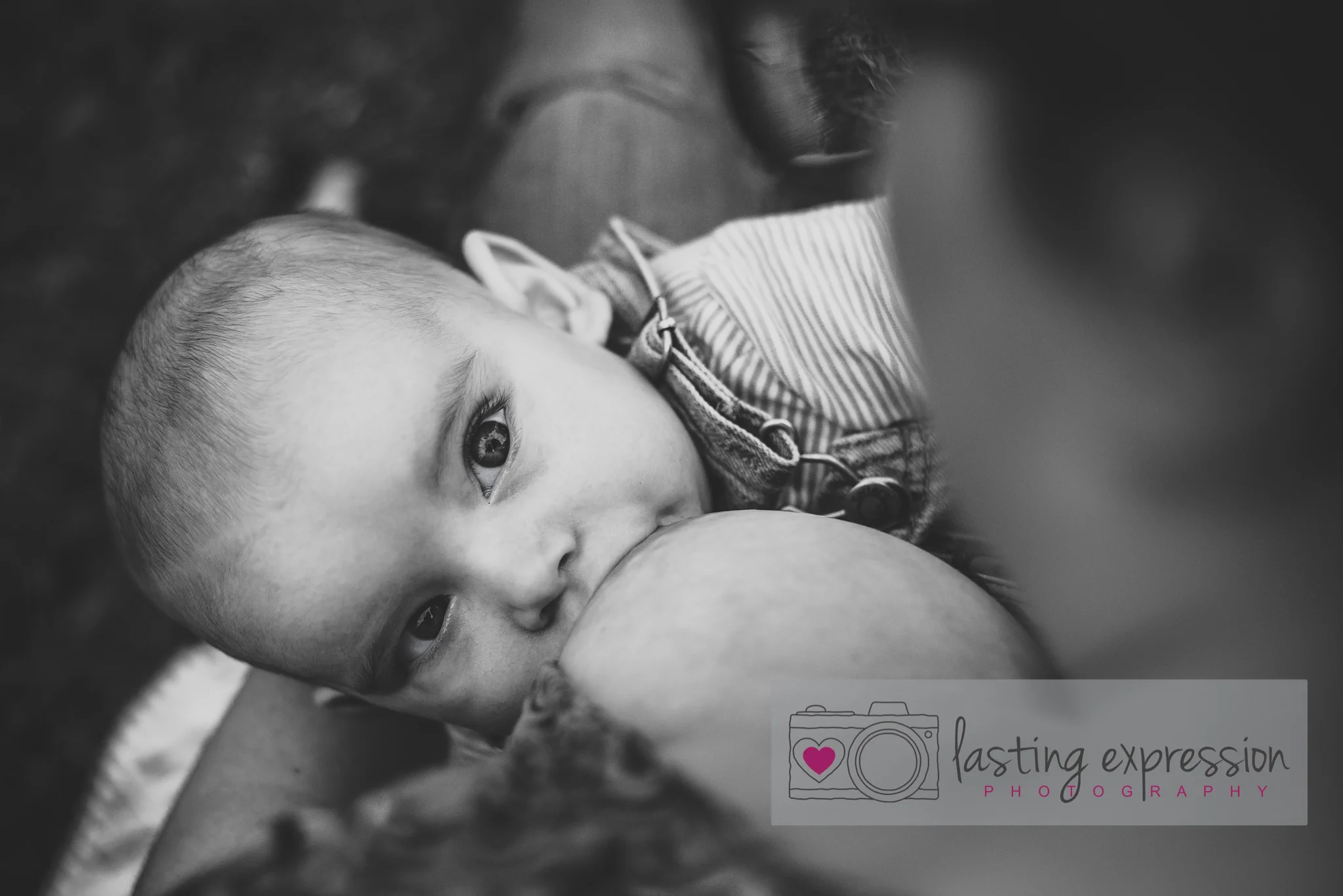 silas-6months-logo-10.jpg