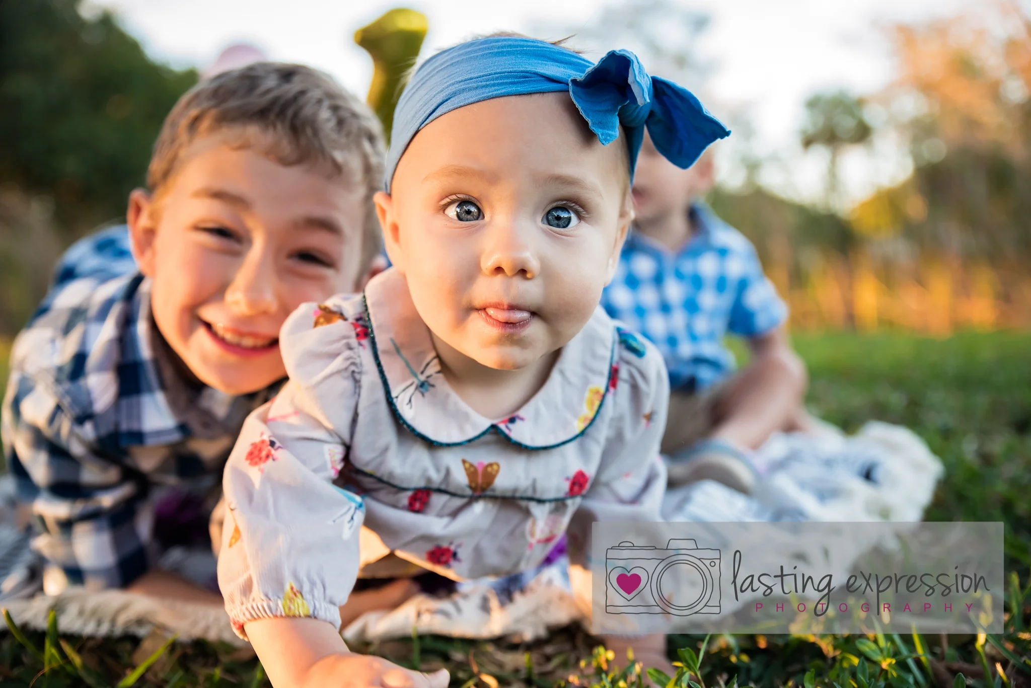 meadow-cakesmash-logo-9.jpg