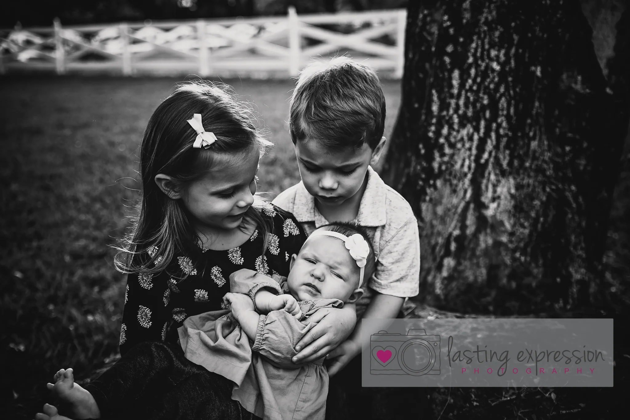 davies-family-logo-19.jpg
