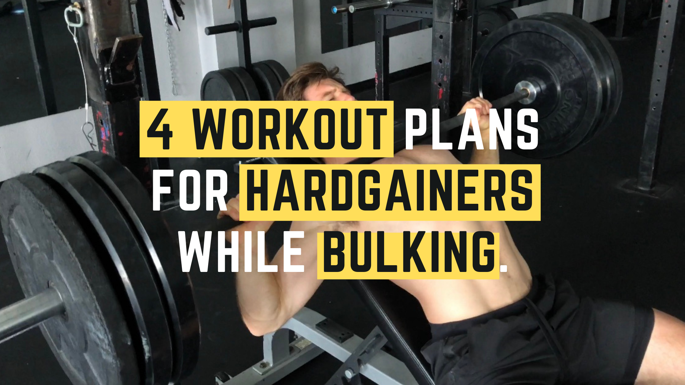 bulked - Hardcore Training Solutions