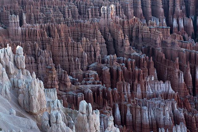 The Amphitheater.

At Bryce Canyon, Utah.

Hoodoos is what they call these huge rock formations. If you weren't at my exhibitions in Delhi and Mumbai, you missed a huge print of this image full of texture. 
Visit my website to order a print. Link in 