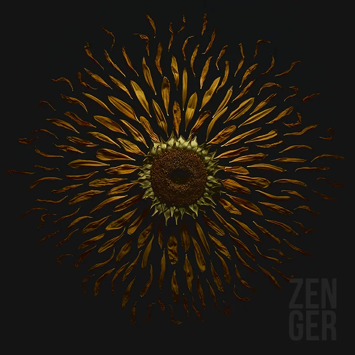 Supernova_web.jpg