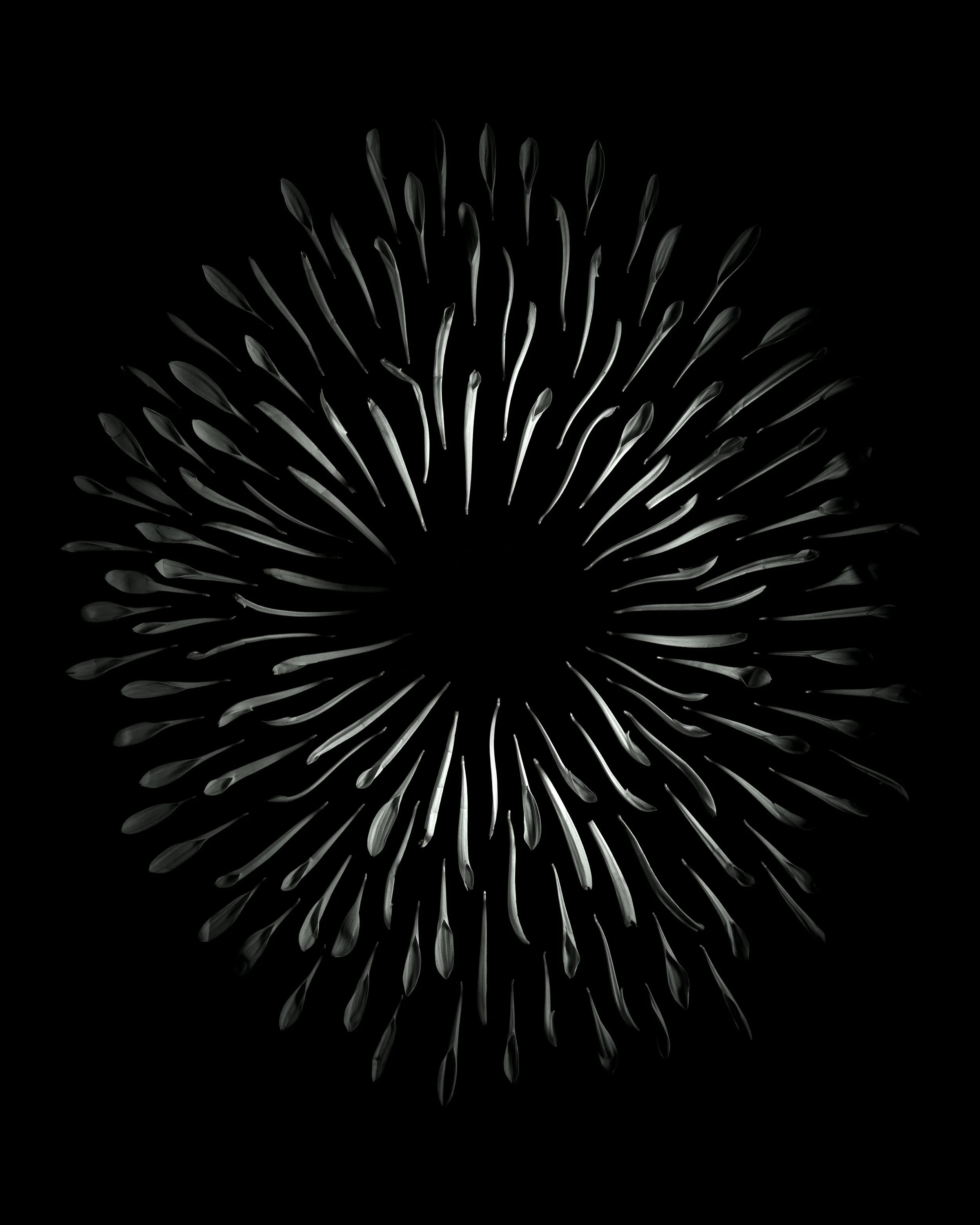 The_Void.jpg