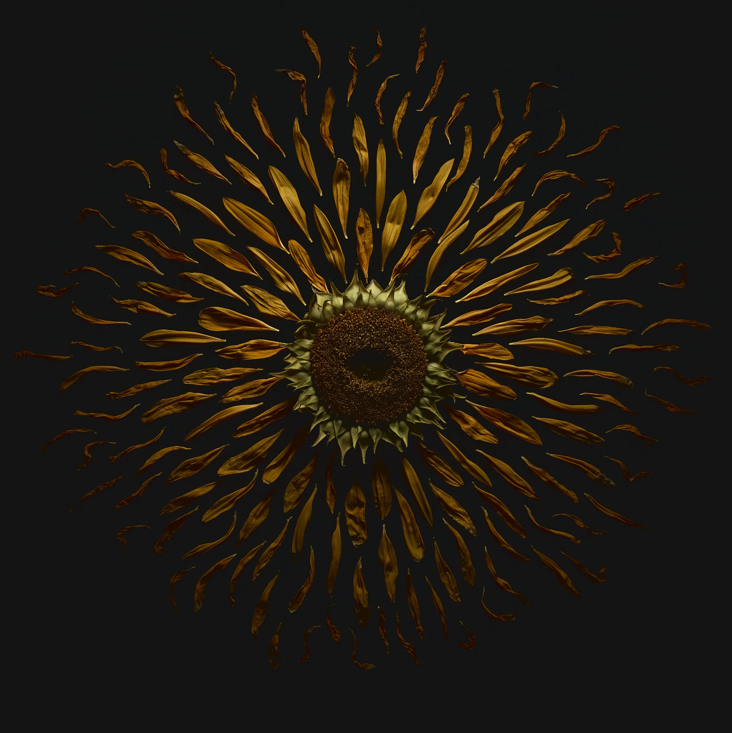supernova_mockup.jpg