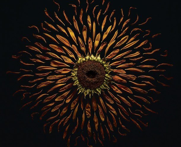 Thrilled to have Supernova hanging in @bryndumansion in Granville, OH for their annual art show!

Opening reception is tonight 7-9. The show goes March 5-21