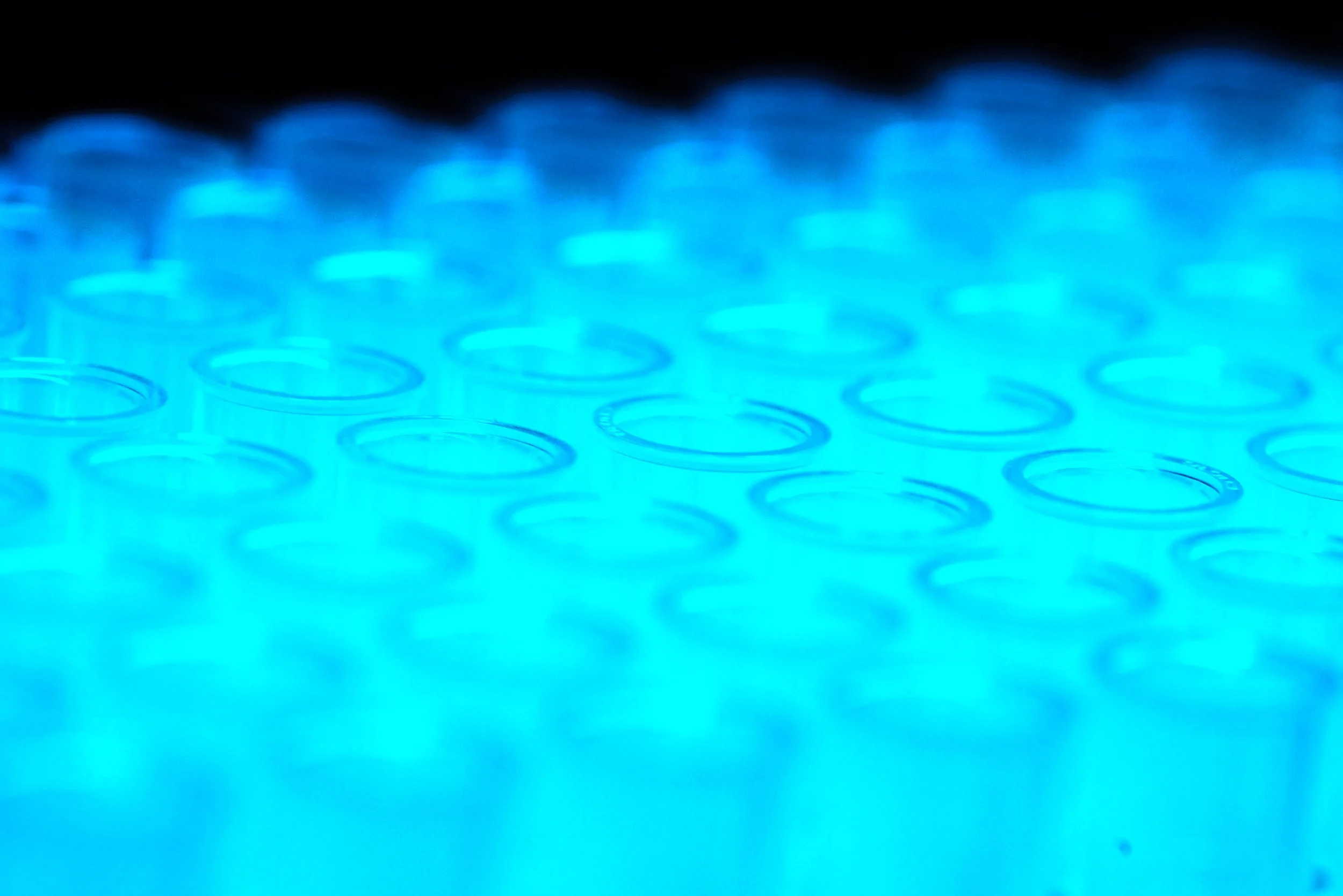 26640_Inspired_Art_Consulting _OnLocation_Lab_322237638.jpg