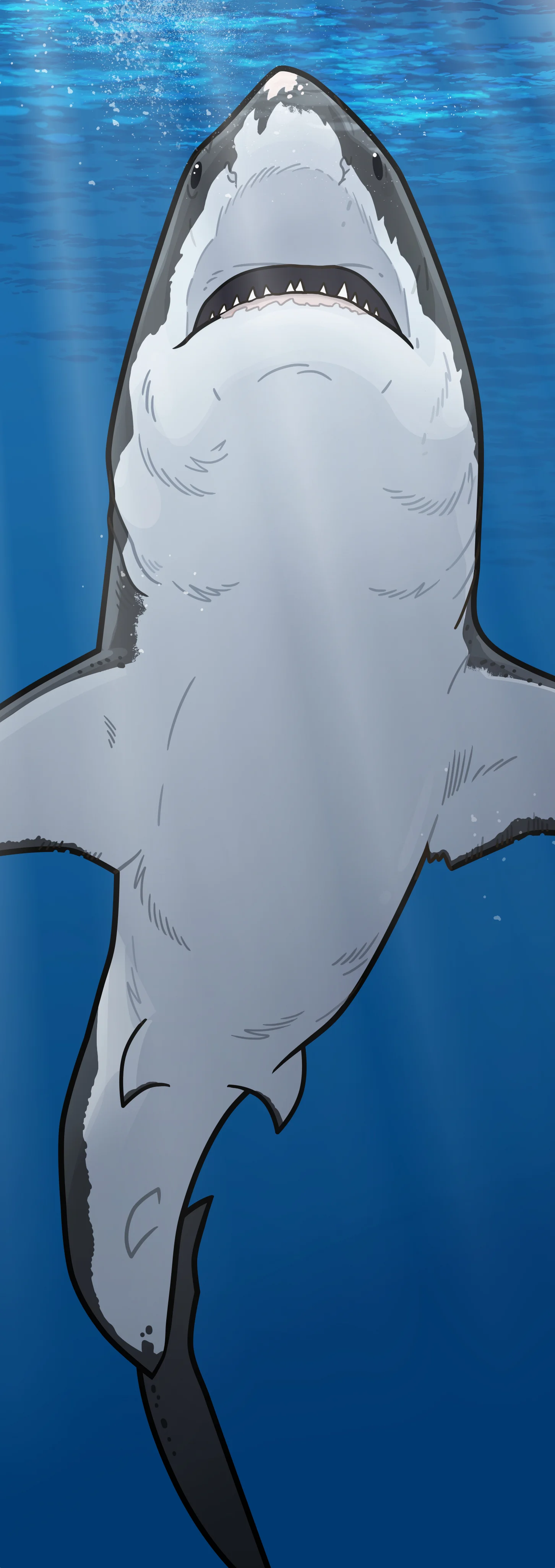 Banner Shark.jpg