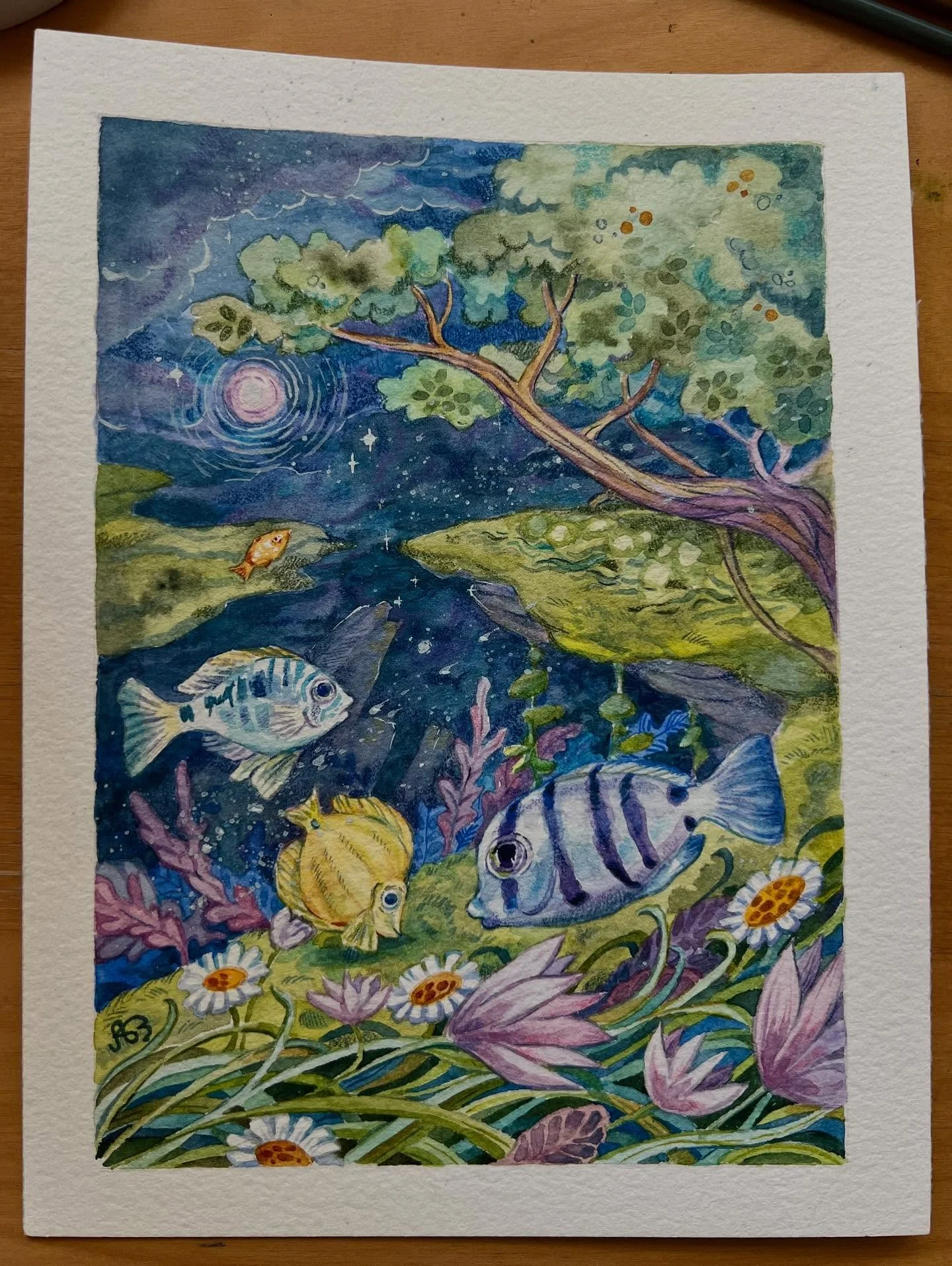 Fish! 🐟