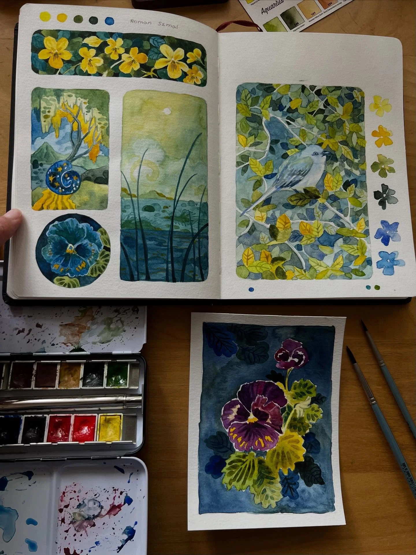 Back to my watercolor journal, plus some quick pansies.