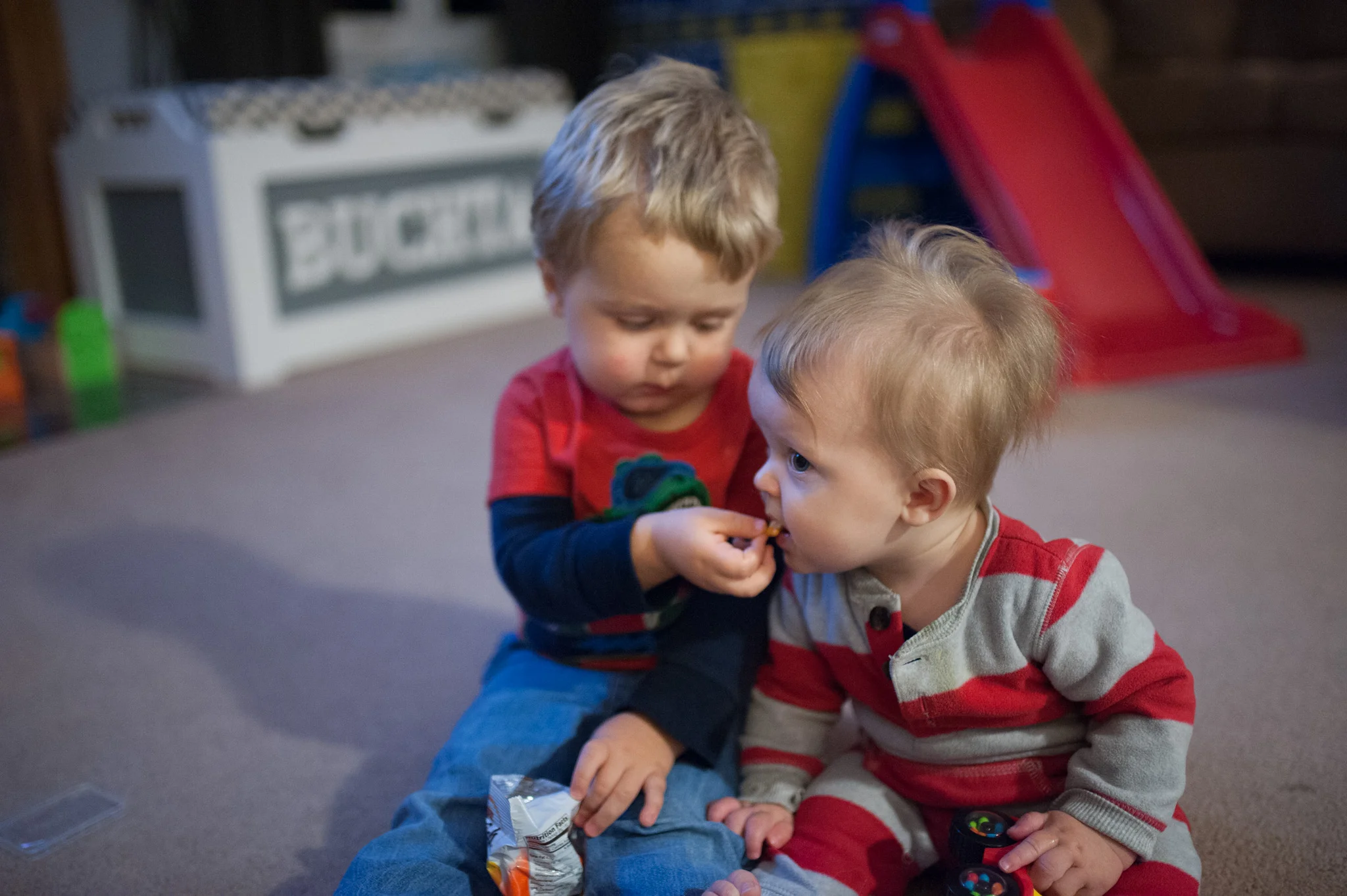 04 Jan 2017 | Slowly but surely, we're trying to get big brother to share. This time, after some convincing, he finally shared one of his precious goldfish with his little brother.....who spit it out shortly after. 
