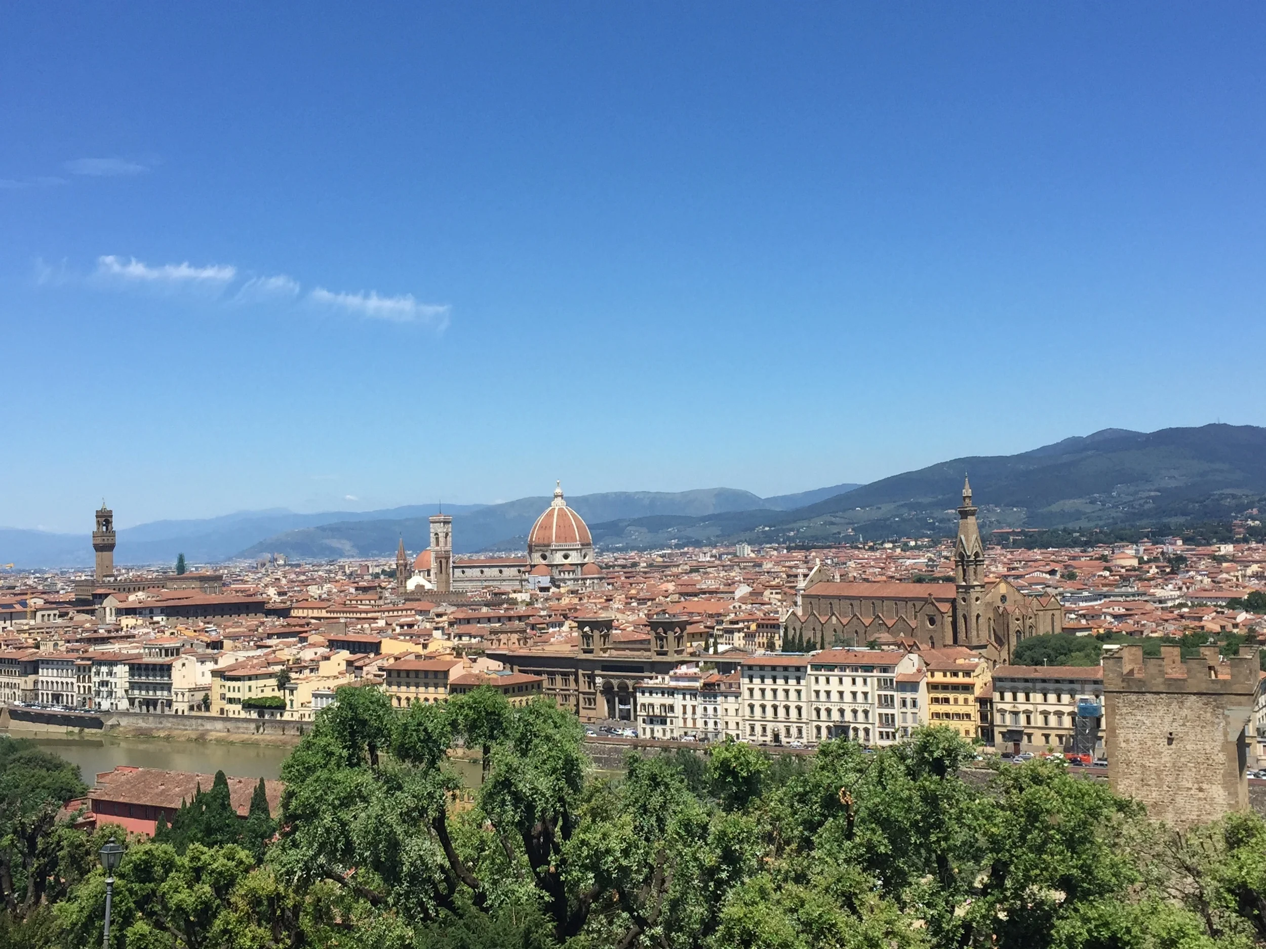 Florence cityspace