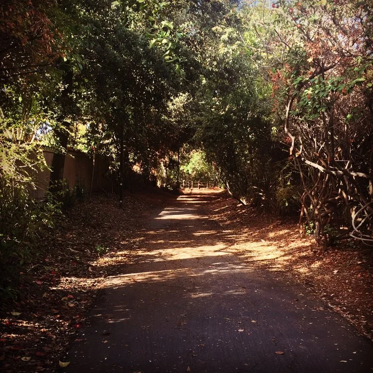 Revising Me Week 2: Walking The Walk