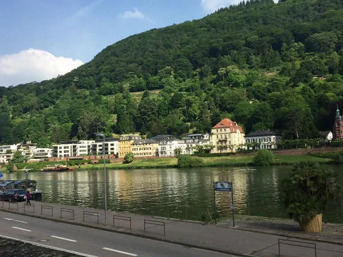 The houses along the Neckar 