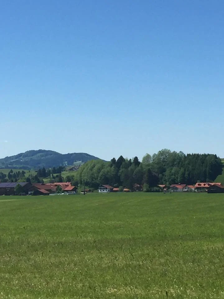 alps2.jpg