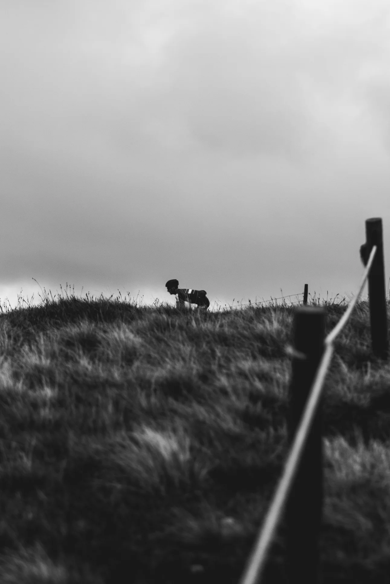 3PX-21.jpg