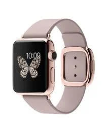 38mm 18-Karat Rose Gold Case with Rose Gray Modern Buckle $17,000 http://store.apple.com/us/buy-watch/apple-watch-edition