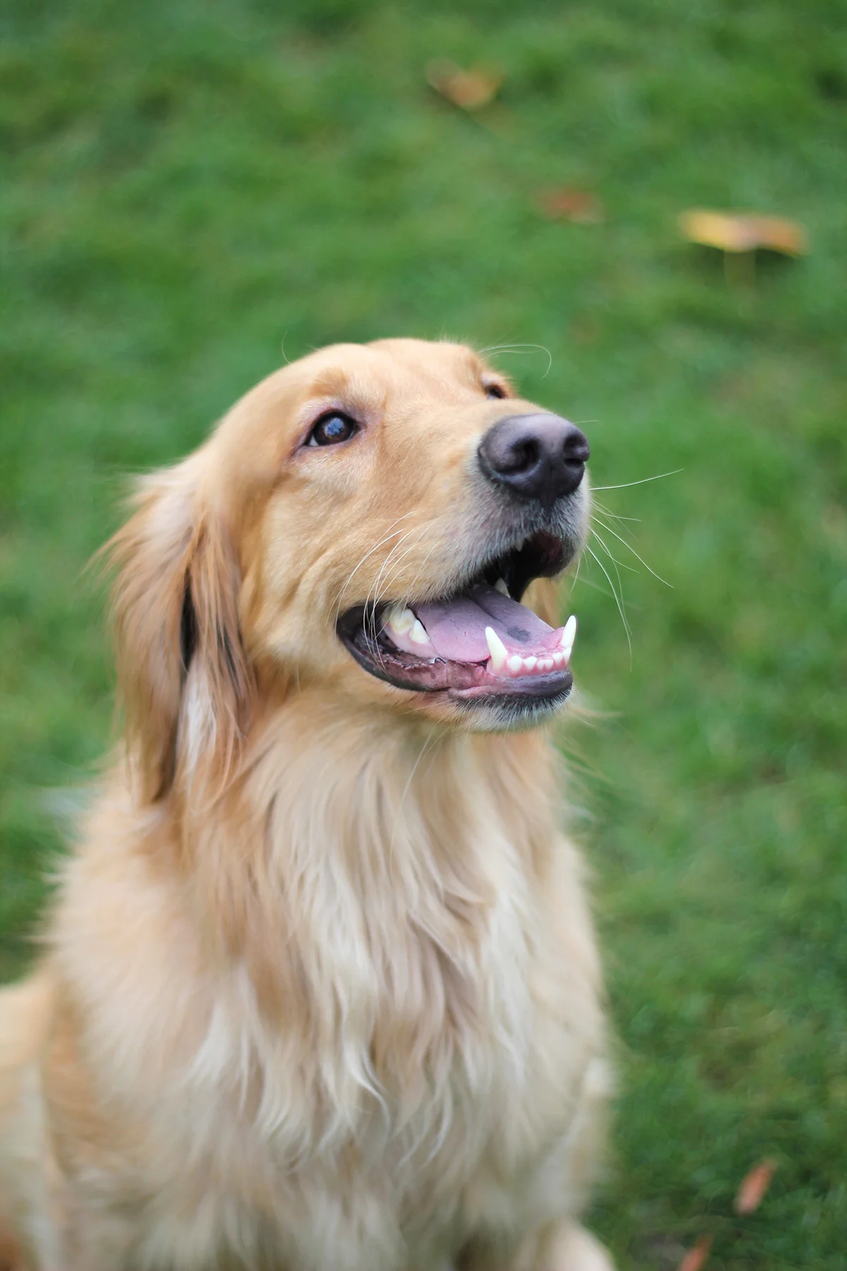 Winchesters (92).JPG