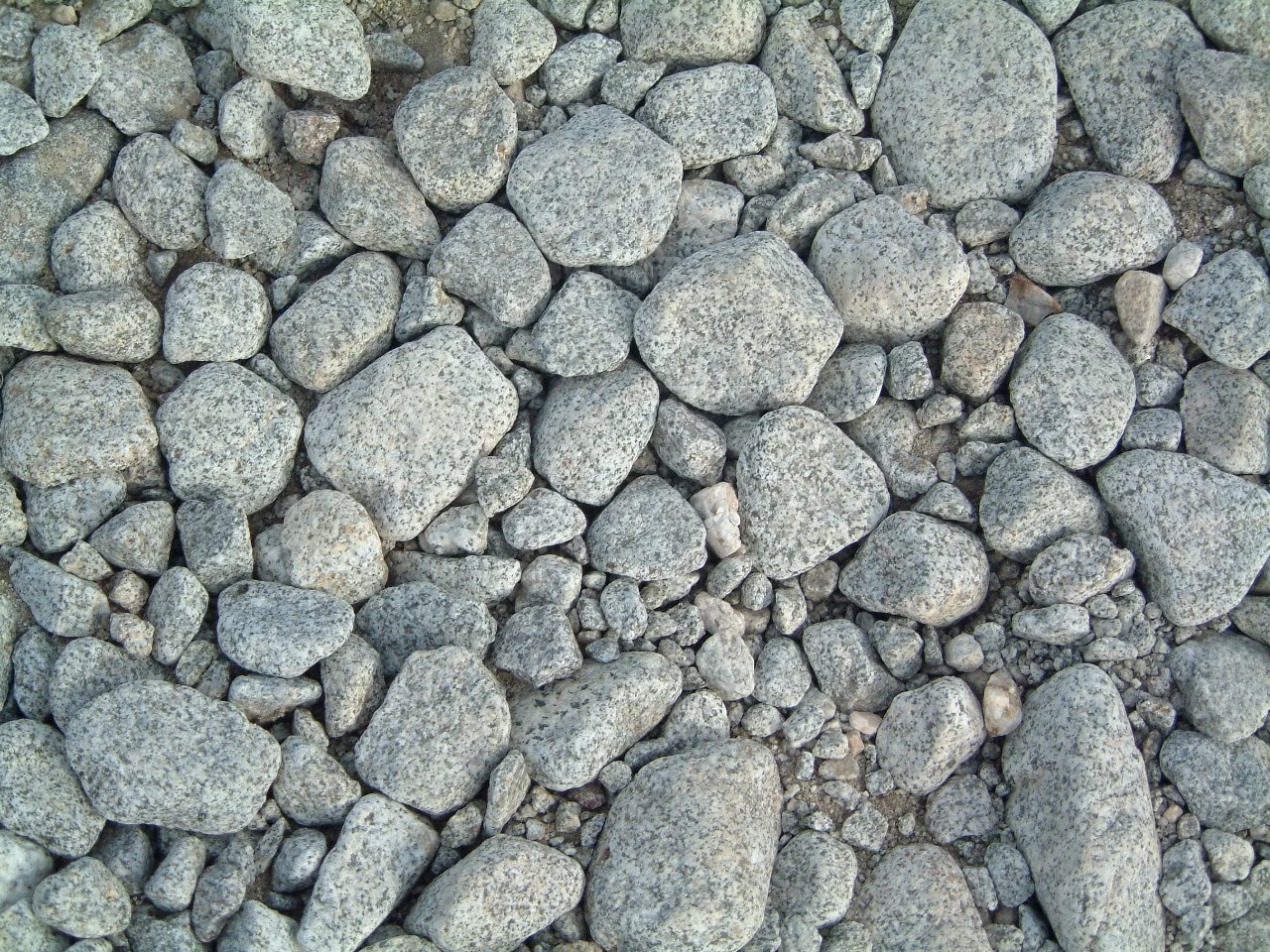 kijhgf (7).jpg