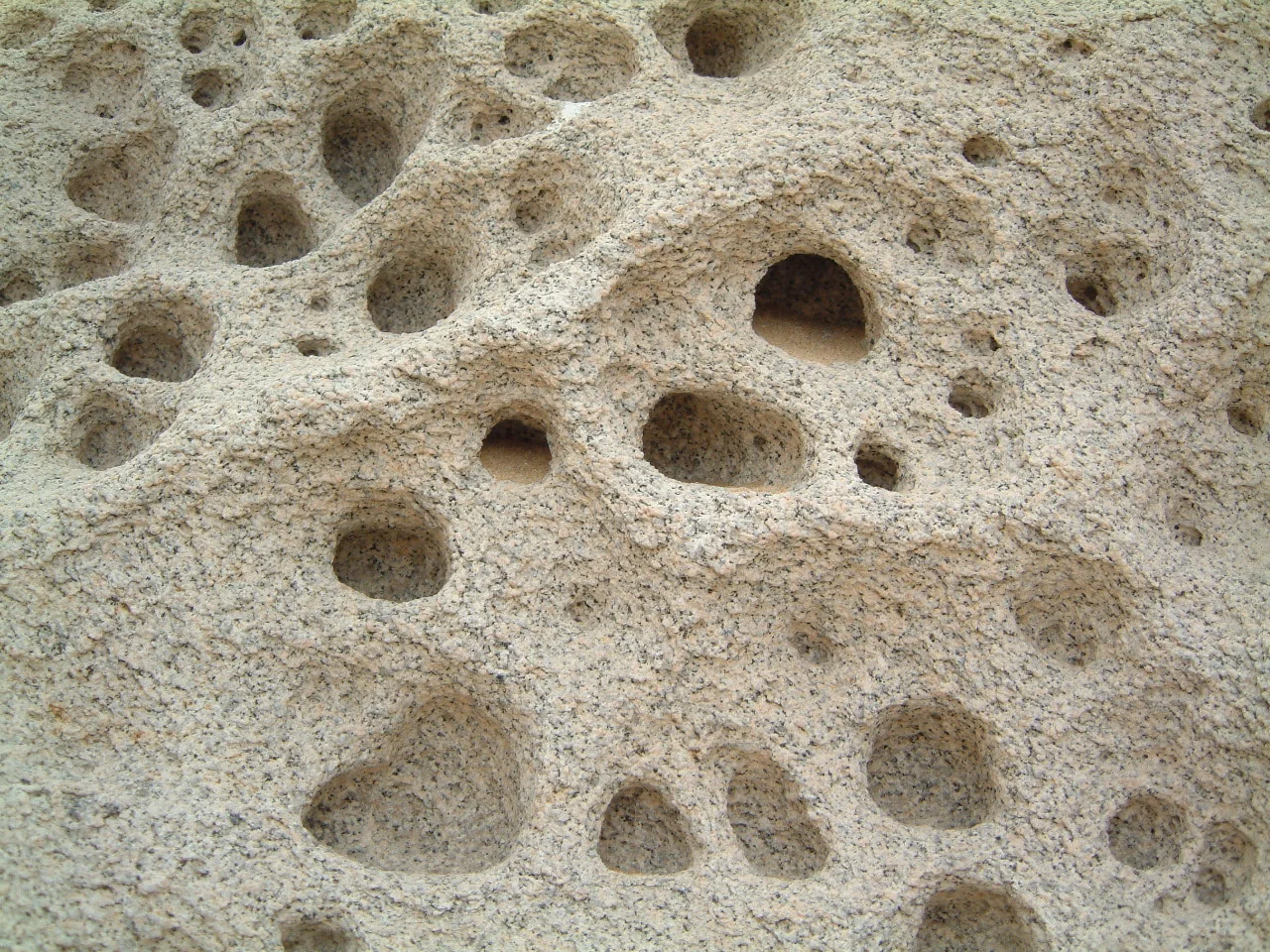 kijhgf (13).jpg