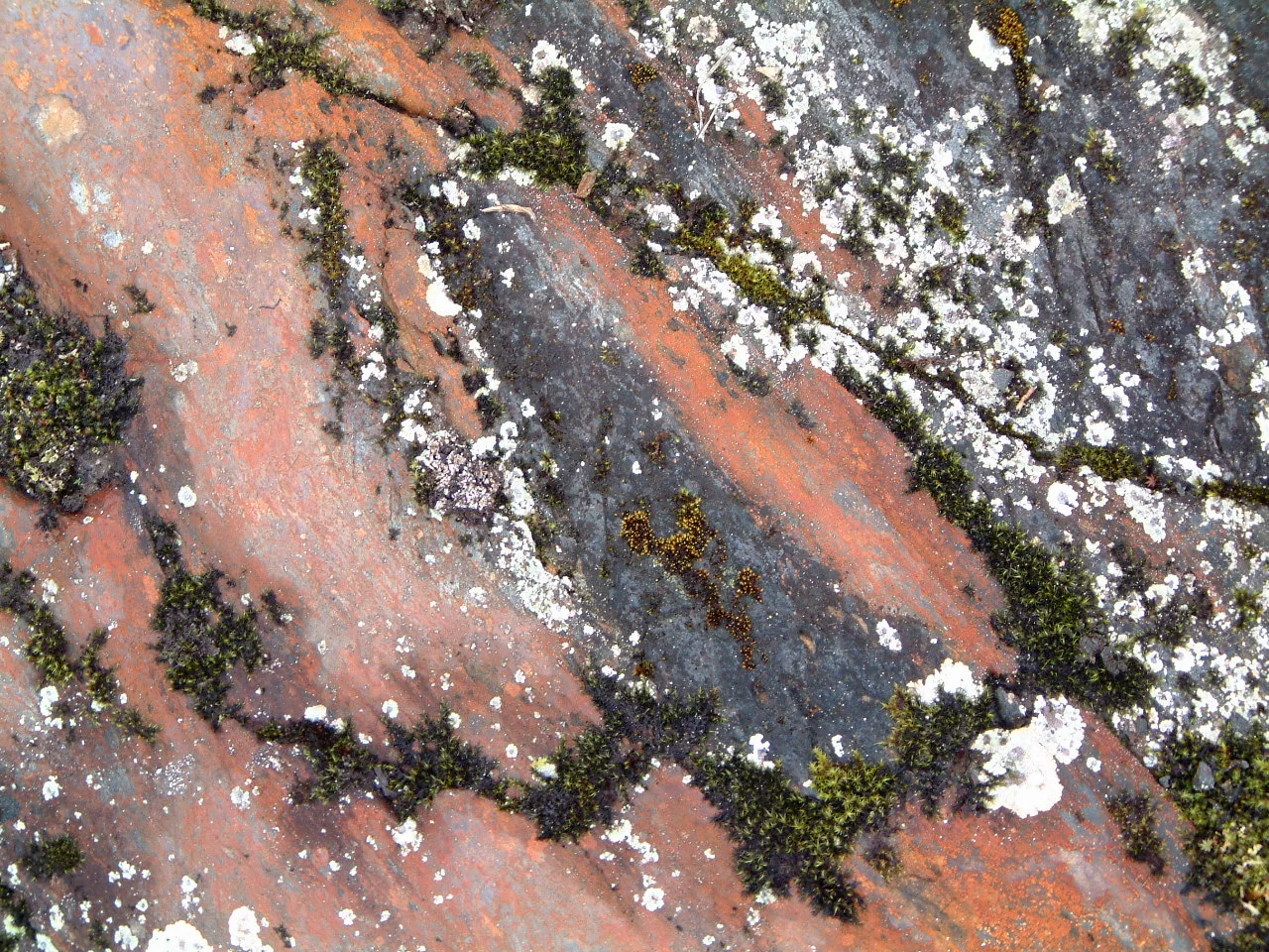 rock4.JPG
