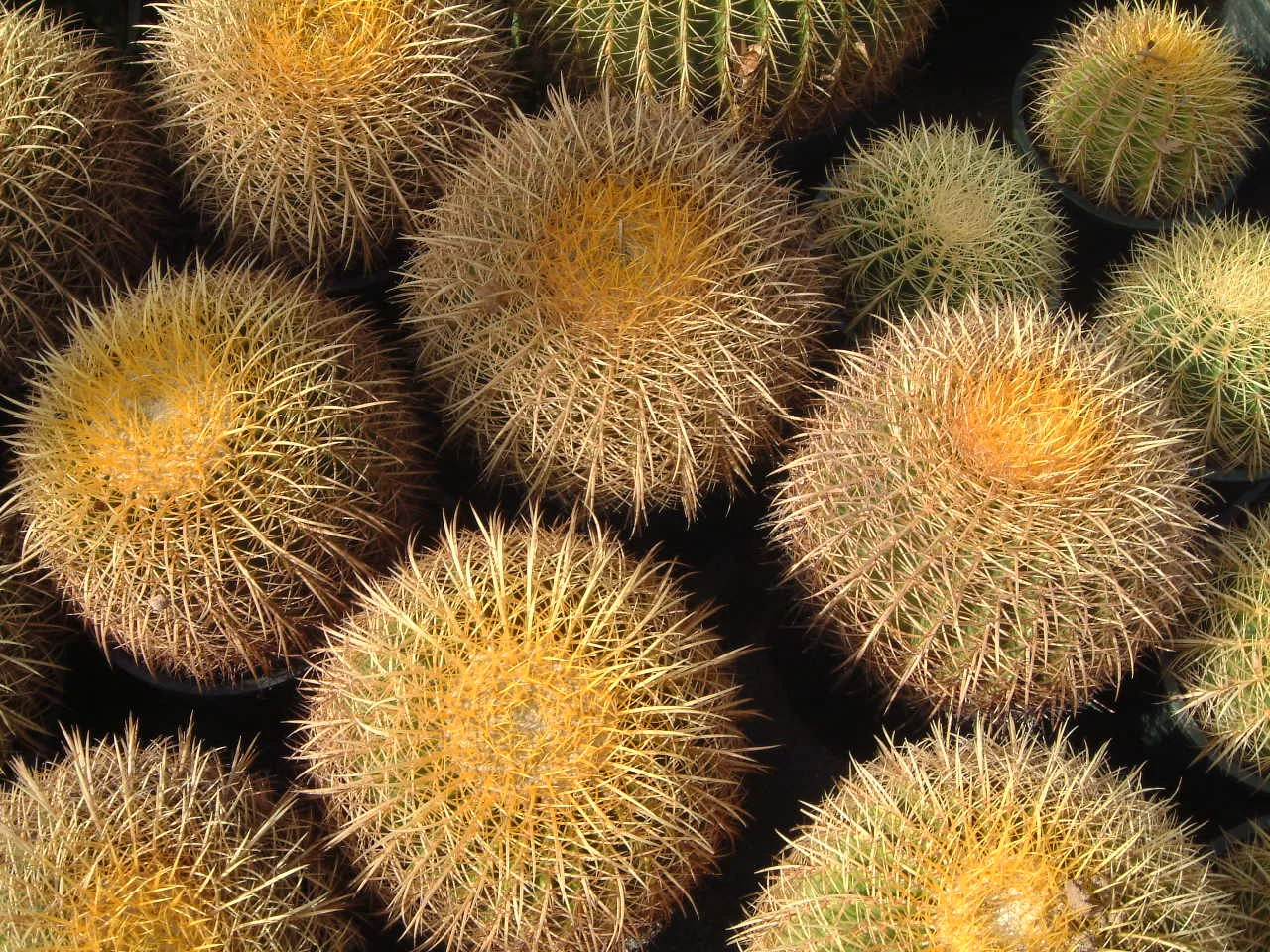 Zoo 094.jpg