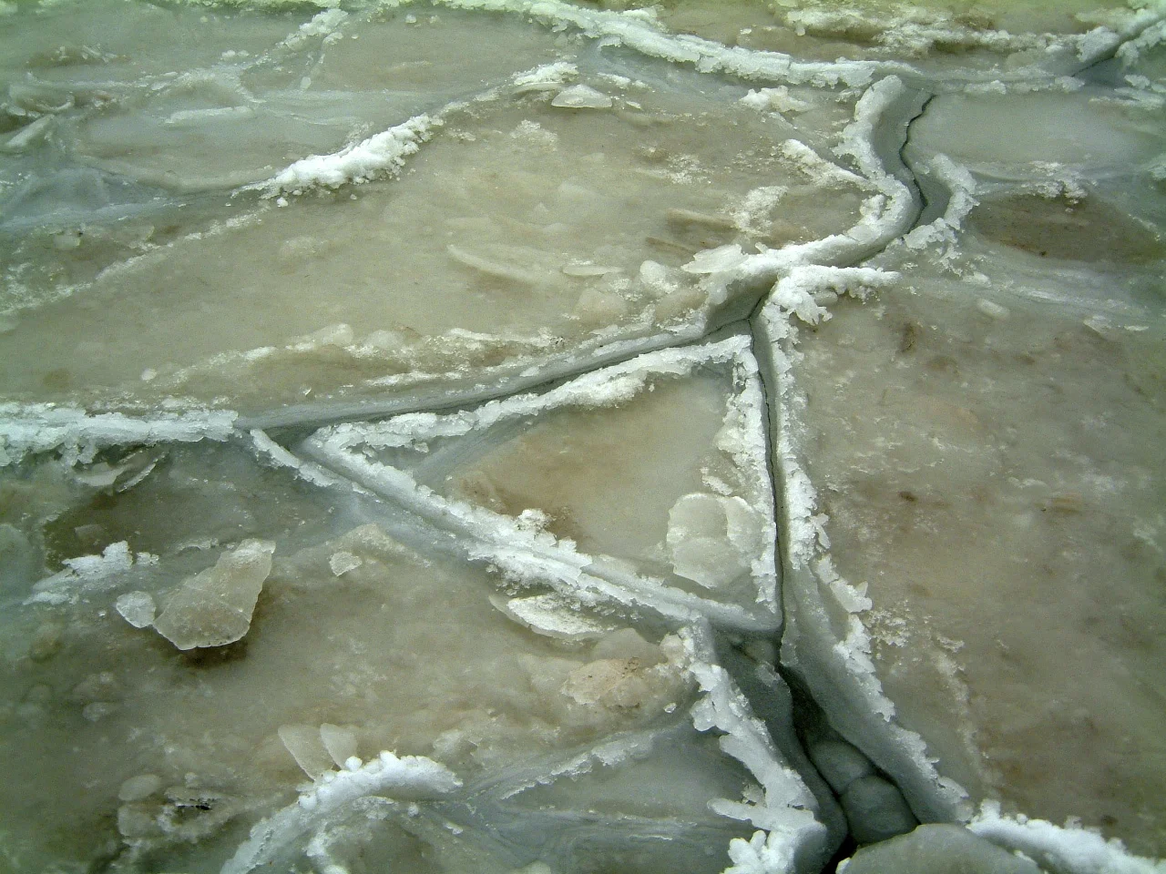 DSCF0016.jpg