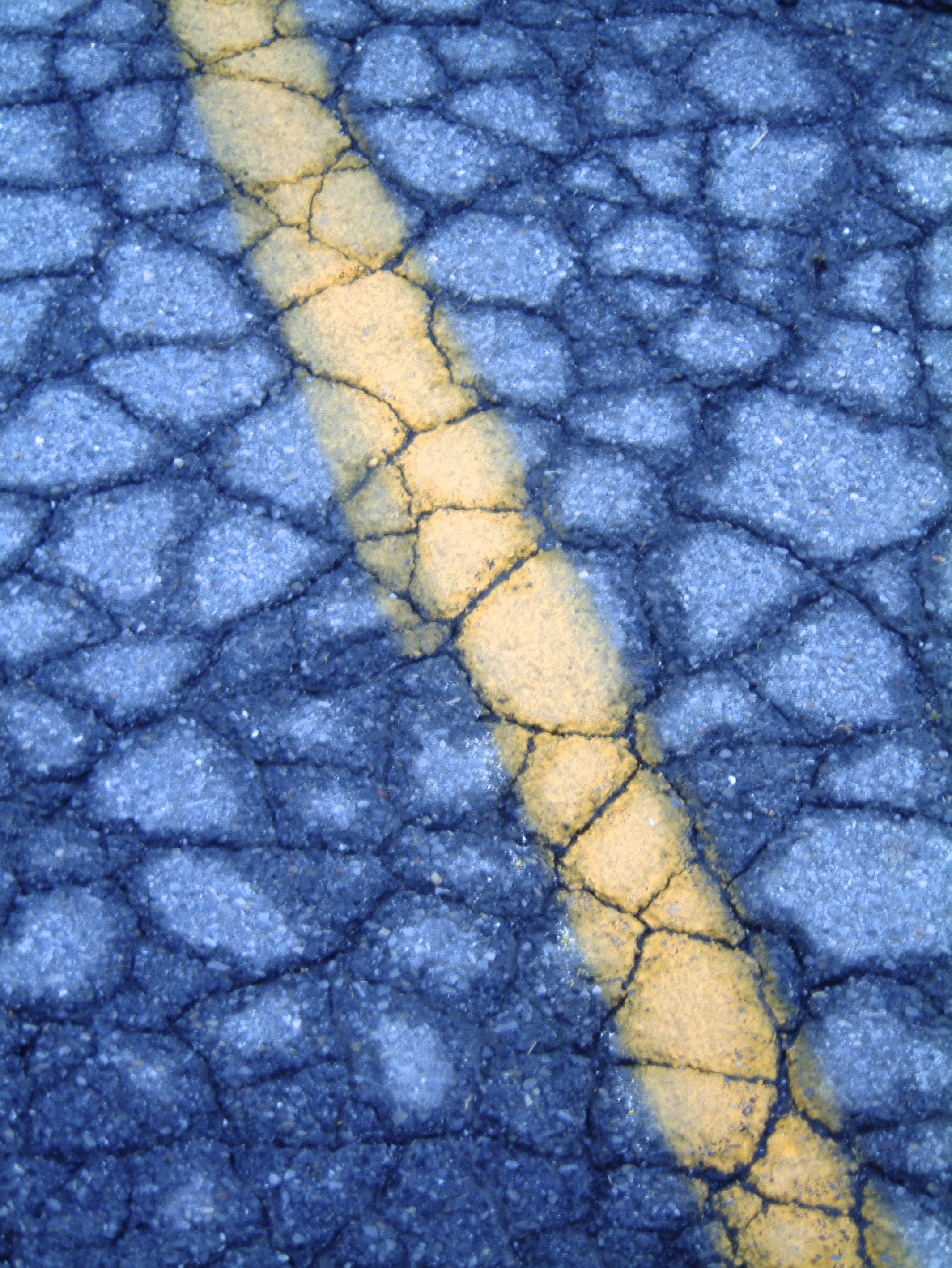 DSCF0036.jpg