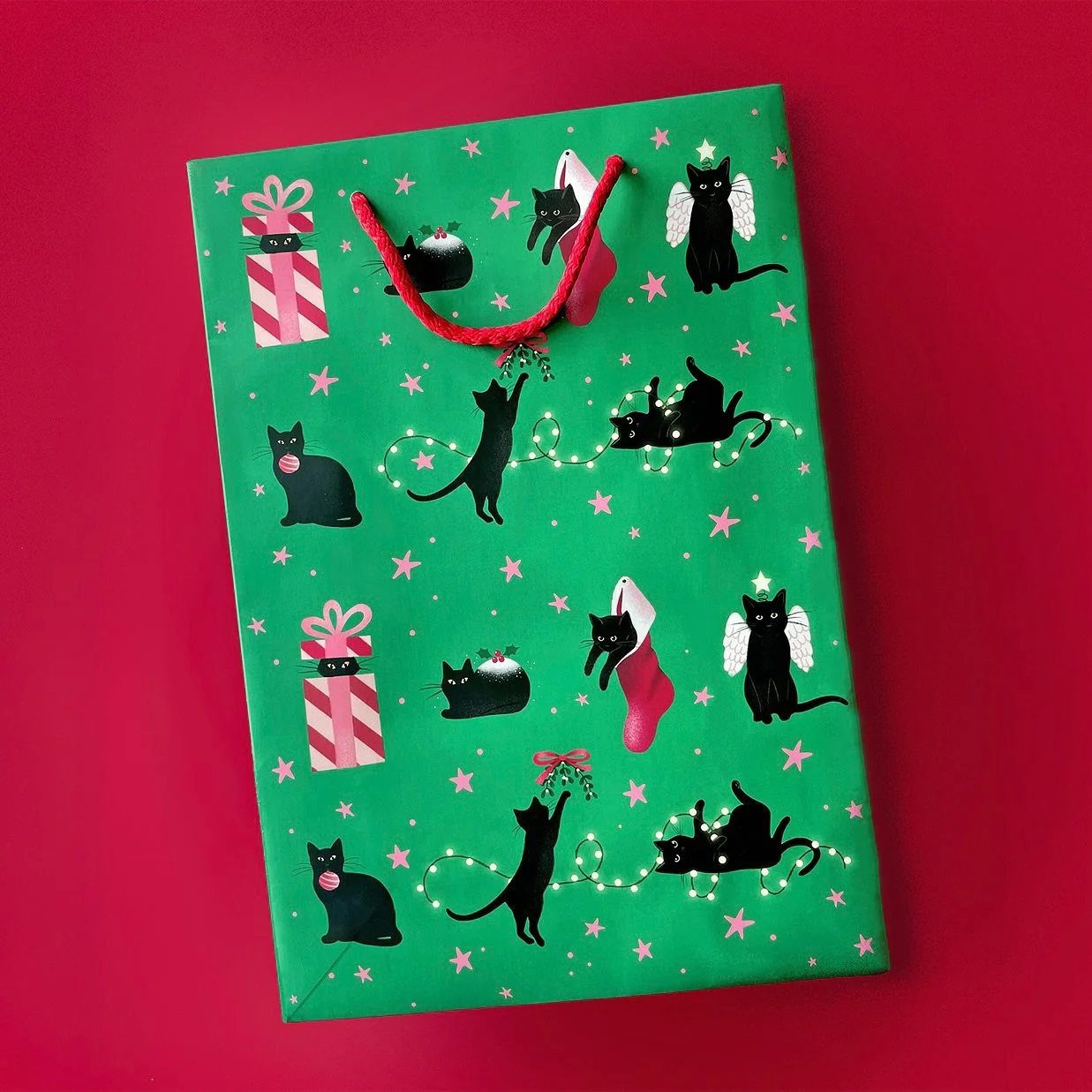 &Aacute;ras an Chait! 🧑🏻&zwj;🦳🐈&zwj;⬛🐈&zwj;⬛

Congrats to Cat Connolly and her two black cats on their first day in &Aacute;ras an Uachtar&aacute;in! For obvious reasons I&rsquo;m completely obsessed with these two being the official pets of the