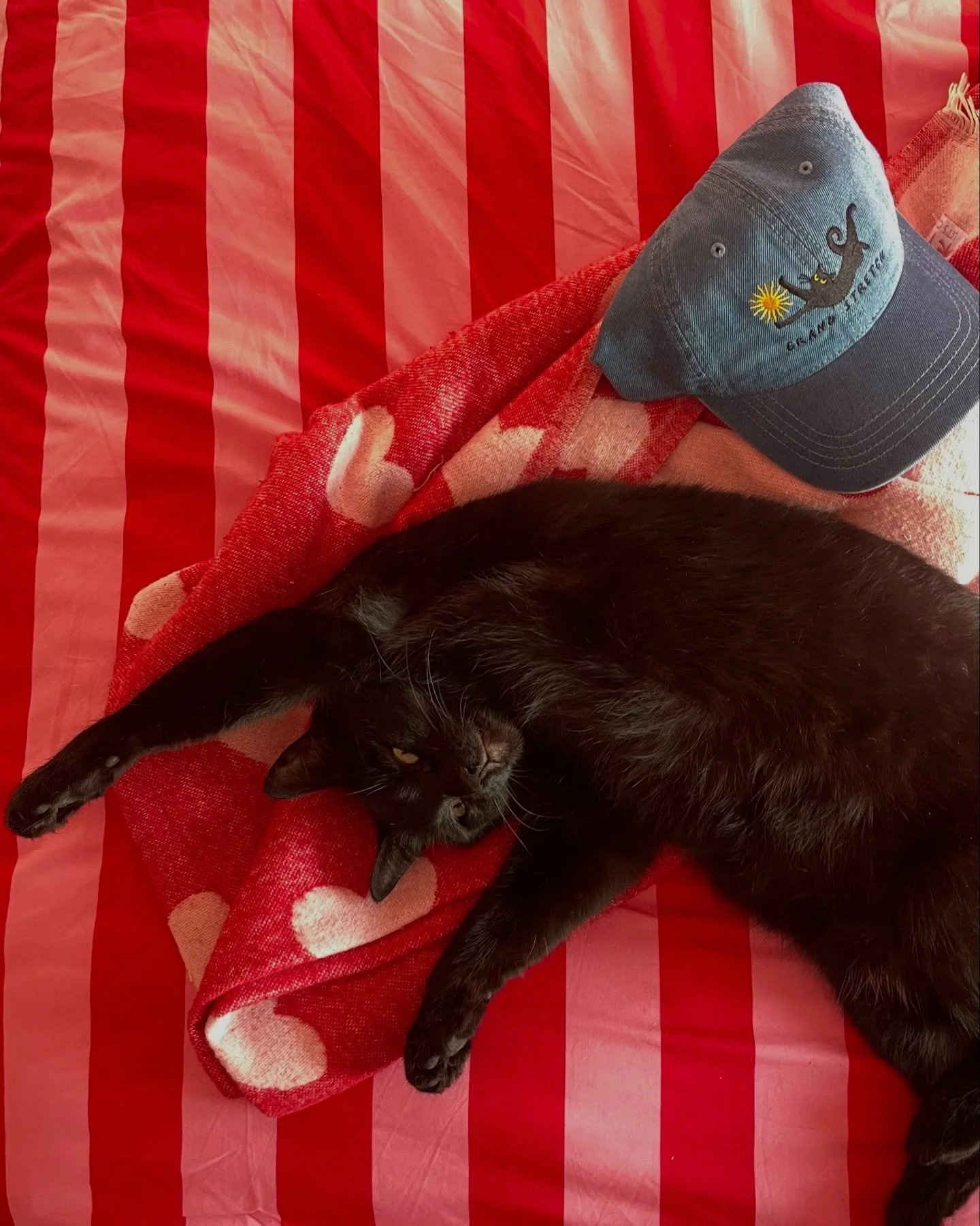 Thank you so much for the orders on the grand stretch caps! All orders will be sent out tomorrow and Thursday - thanks for your patience! 🌞✨

They&rsquo;re almost sold out on this wee run so if you&rsquo;d like to grab one before they&rsquo;re gone,