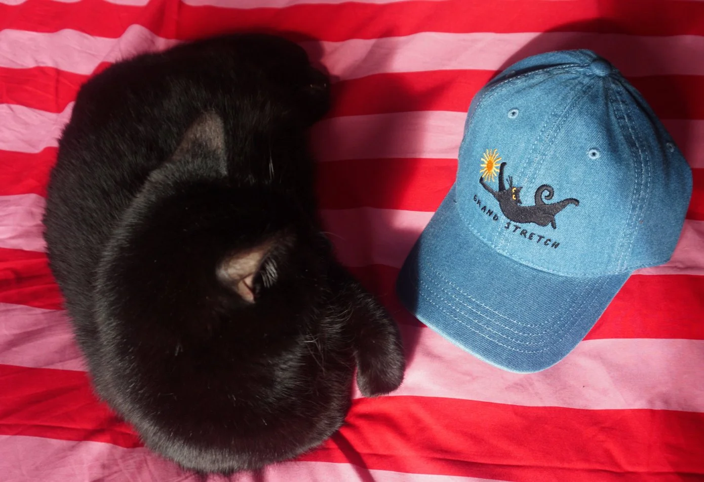 JPEG image-45BF-9EFB-E1-0.jpeg