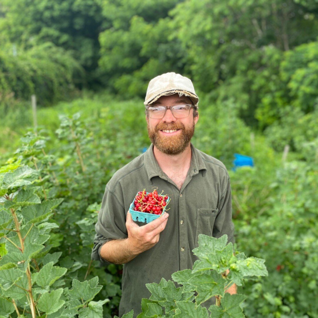 Adam with red currants in his edenist food forest.