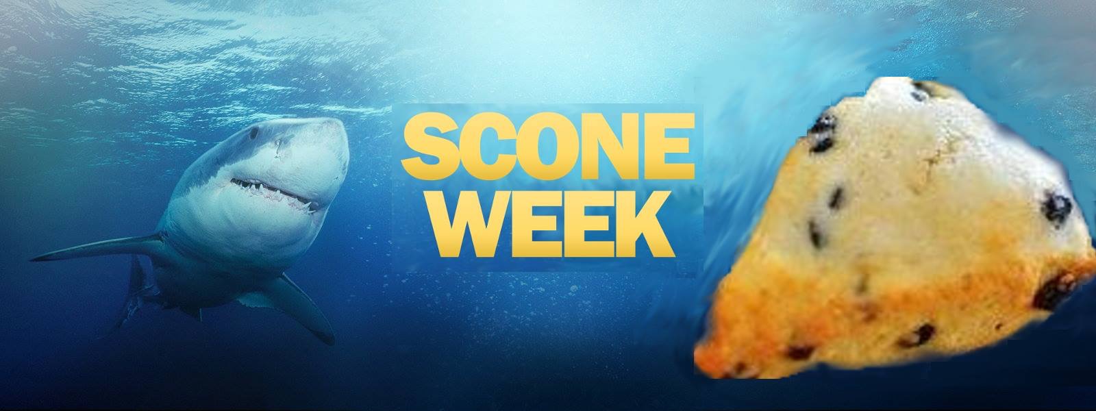 It's SCONE WEEK at Hazel & Rye! Every day we will be featuring a different scone to tempt you into the water. But you better be quick because the feeding frenzy is about to be fast. They are soooo good. Downtown Canton: 7:30am to 2:30pm.
