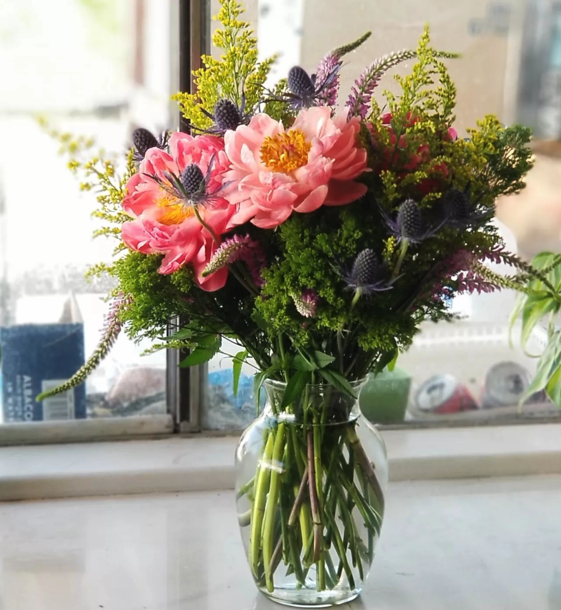 Screen Shot 2023-09-18 at 11.45.18 AM.png