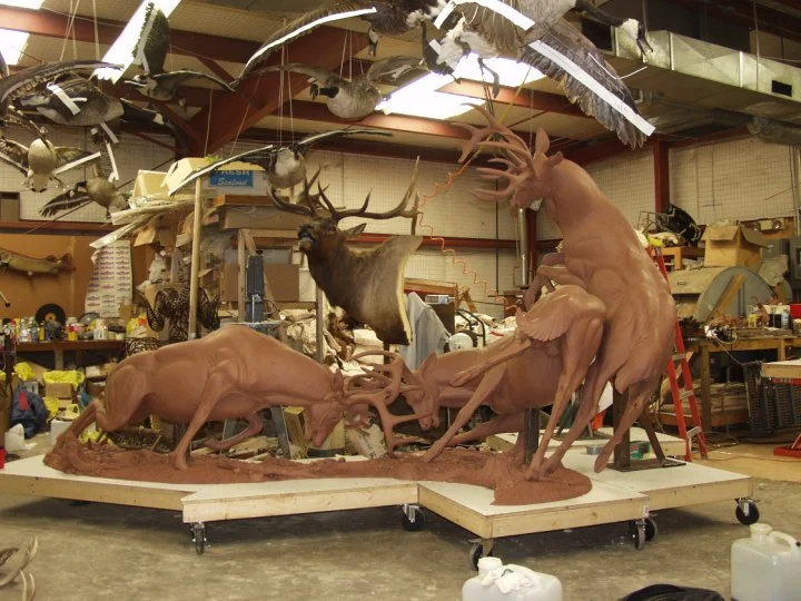 Fighting Bucks