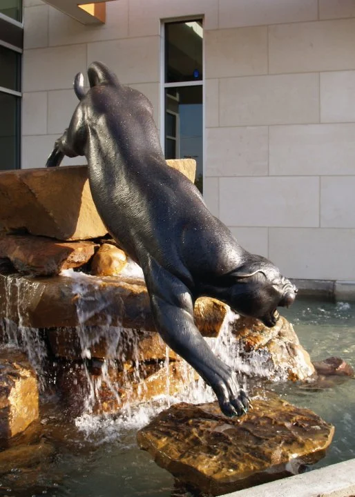 Verus Panther