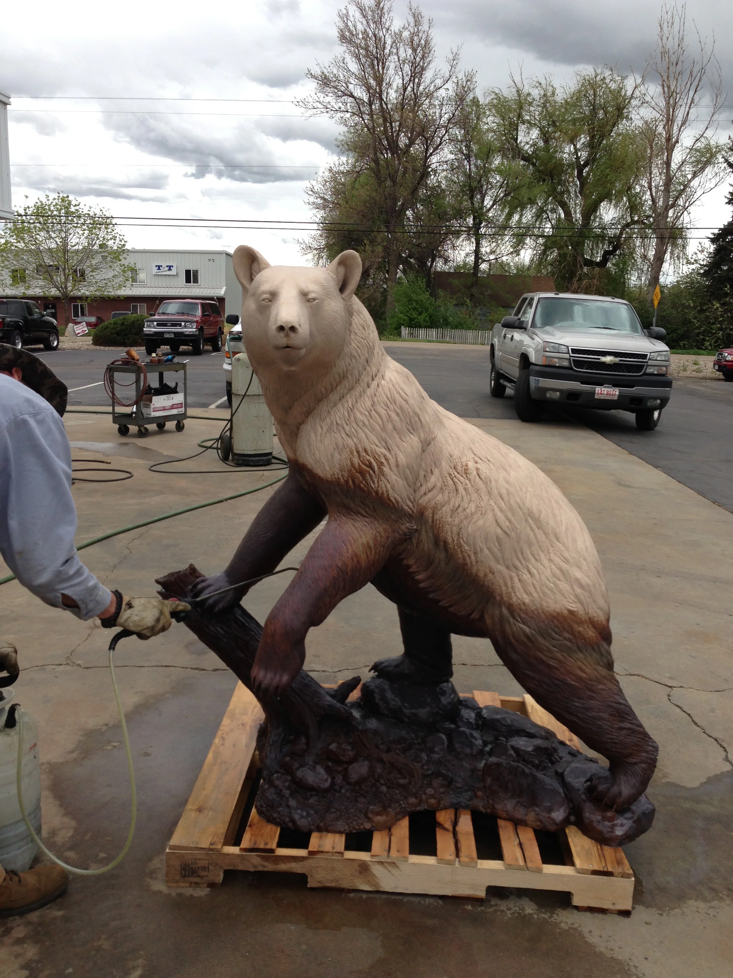 Northwoods Bruin