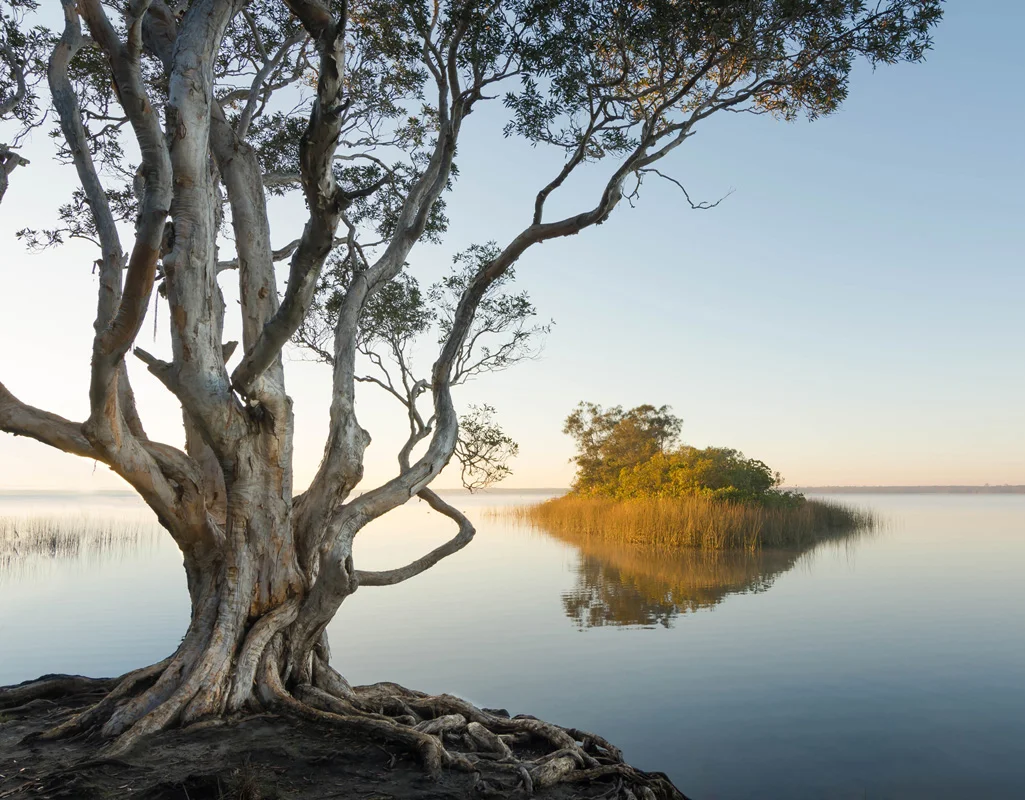 Boreen Point Morning Light
