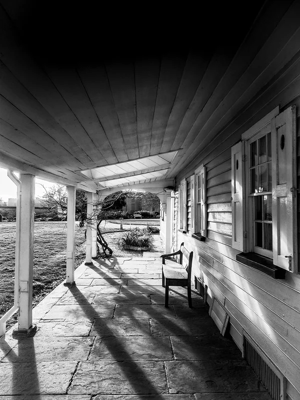 Morning Shadows